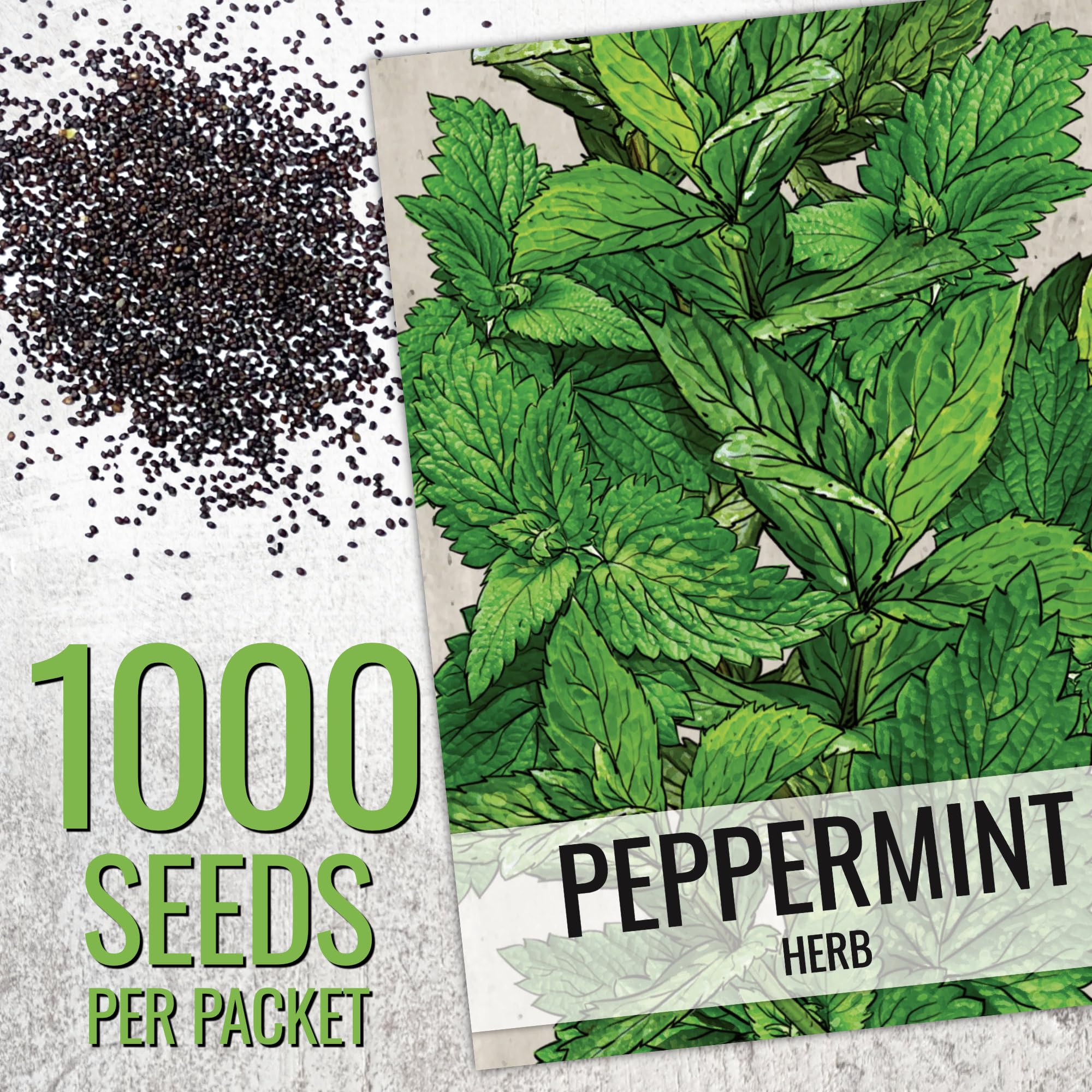 Seed Needs peppermint leaves close-up, highlighting bold, cooling flavor for teas and confections.