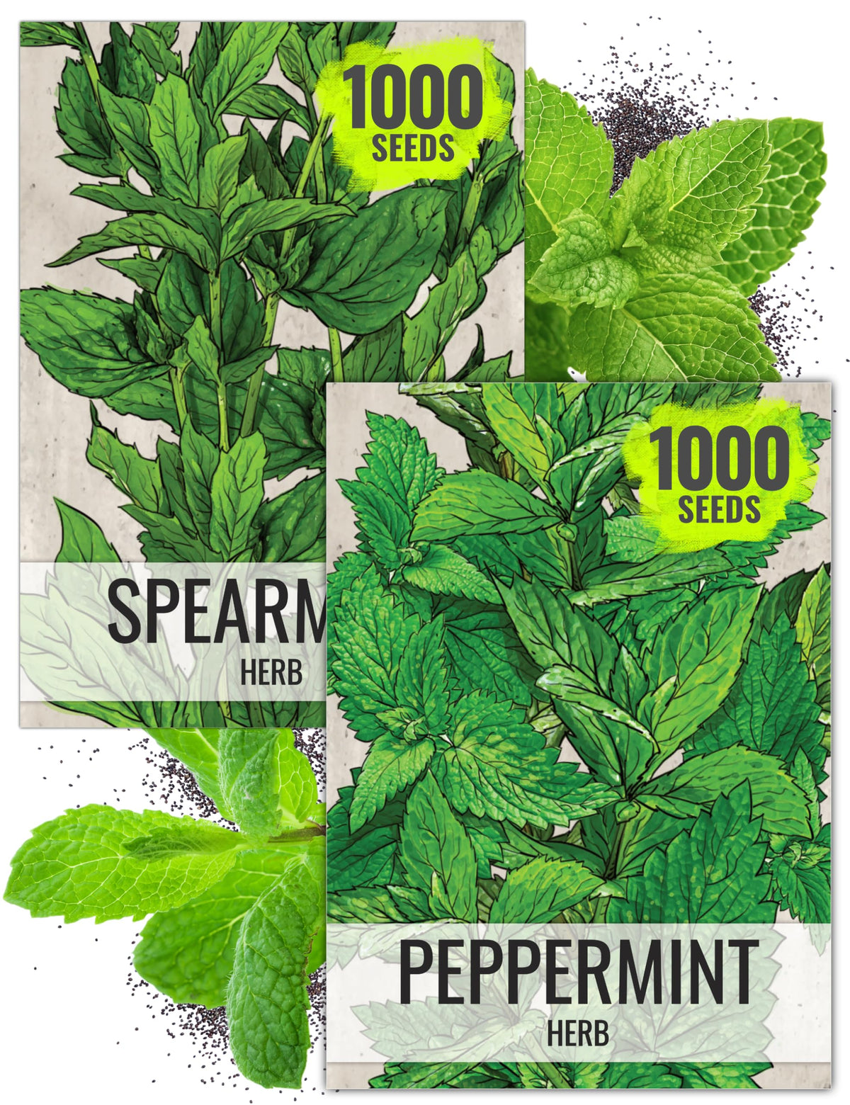 Seed Needs spearmint leaves close-up, showcasing fresh aroma for beverages and salads.