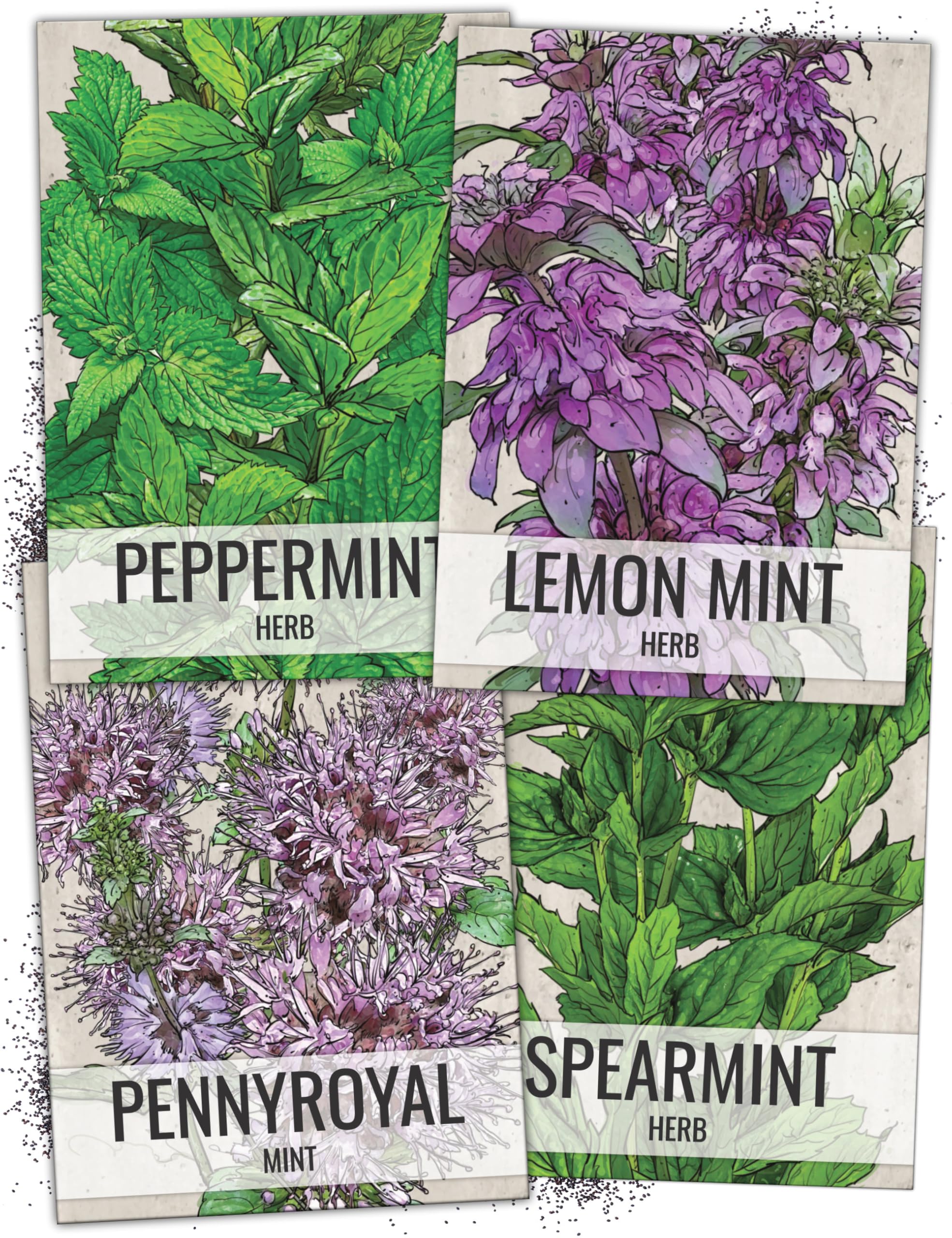 Seed Needs spearmint seeds packet for easy homegrown flavor