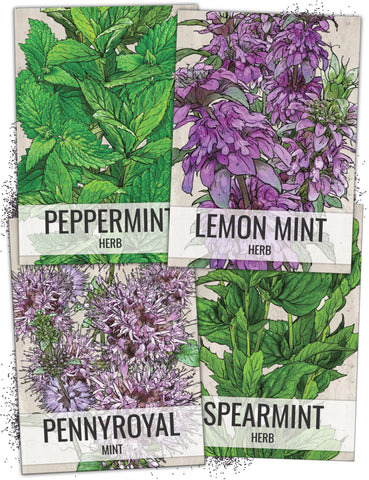 Seed Needs spearmint seeds packet for easy homegrown flavor