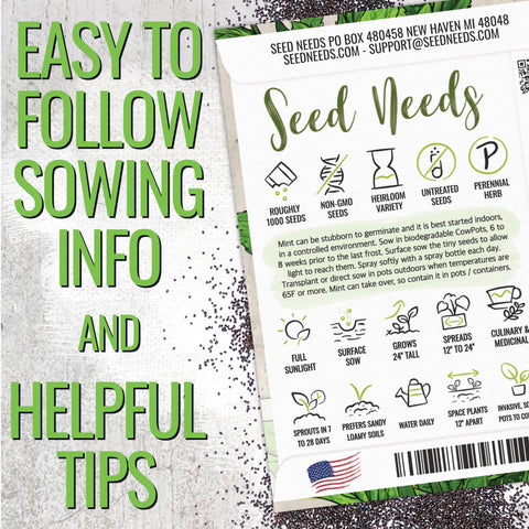 Seed Needs mint seeds sprout close-up, illustrating rapid germination when sown correctly.