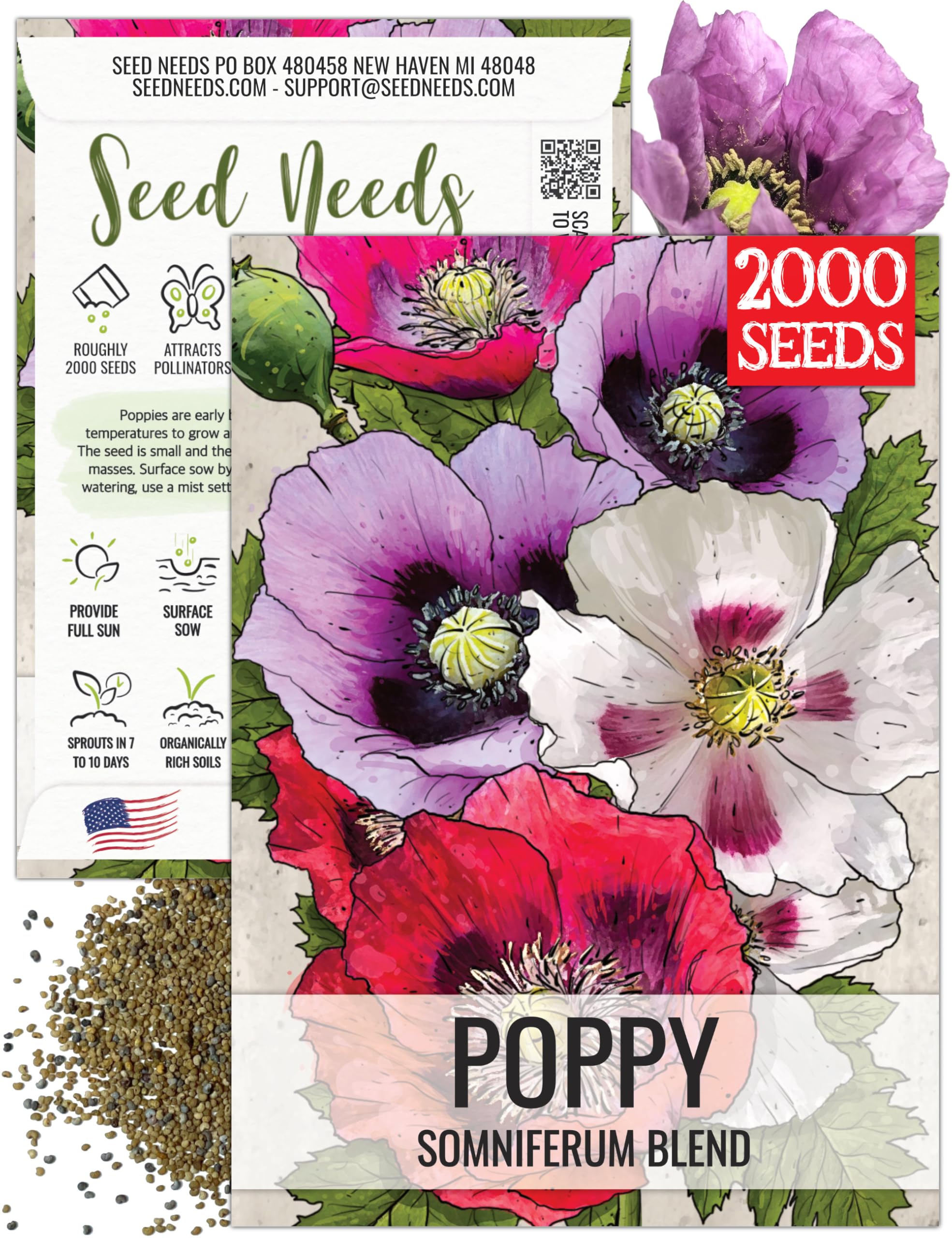 Seed Needs mixed Somniferum poppy seeds pack ready for vibrant blooms.
