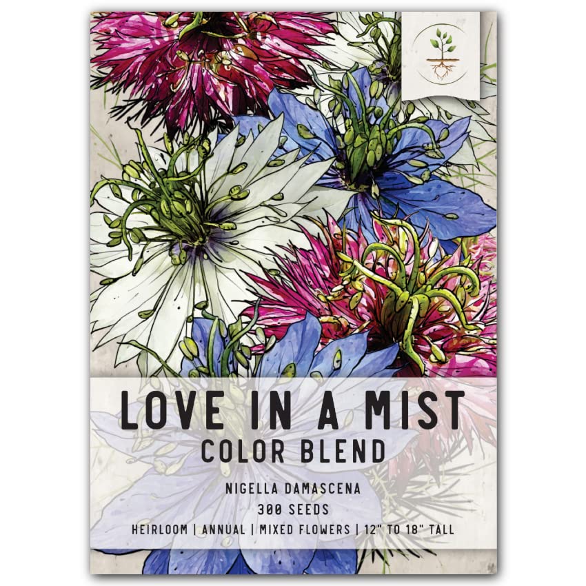 Seed Needs Mixture of Love in a Mist seeds packet illustration, ideal for starting a pollinator garden