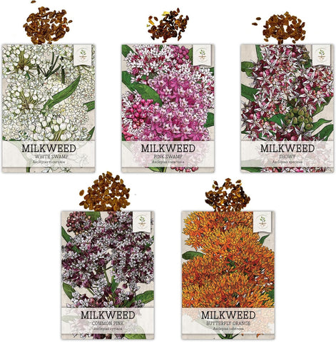 Seed Needs moisture-resistant packaging preserves freshness.