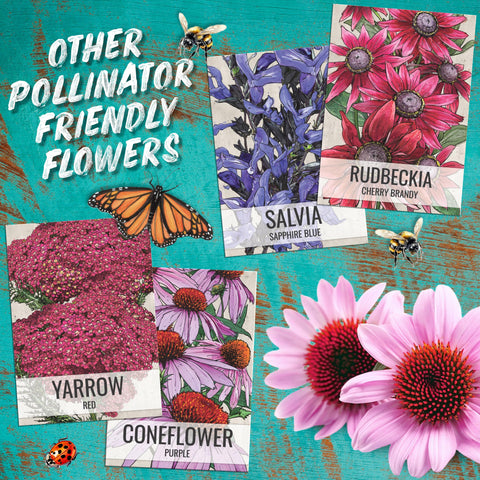 Seed Needs moisture-resistant packaging keeps seeds fresh.