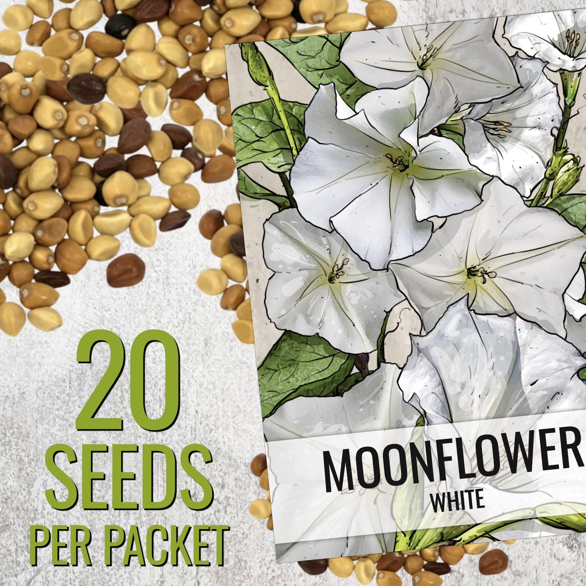 Moonflower germination tips from Seed Needs help faster sprouting.