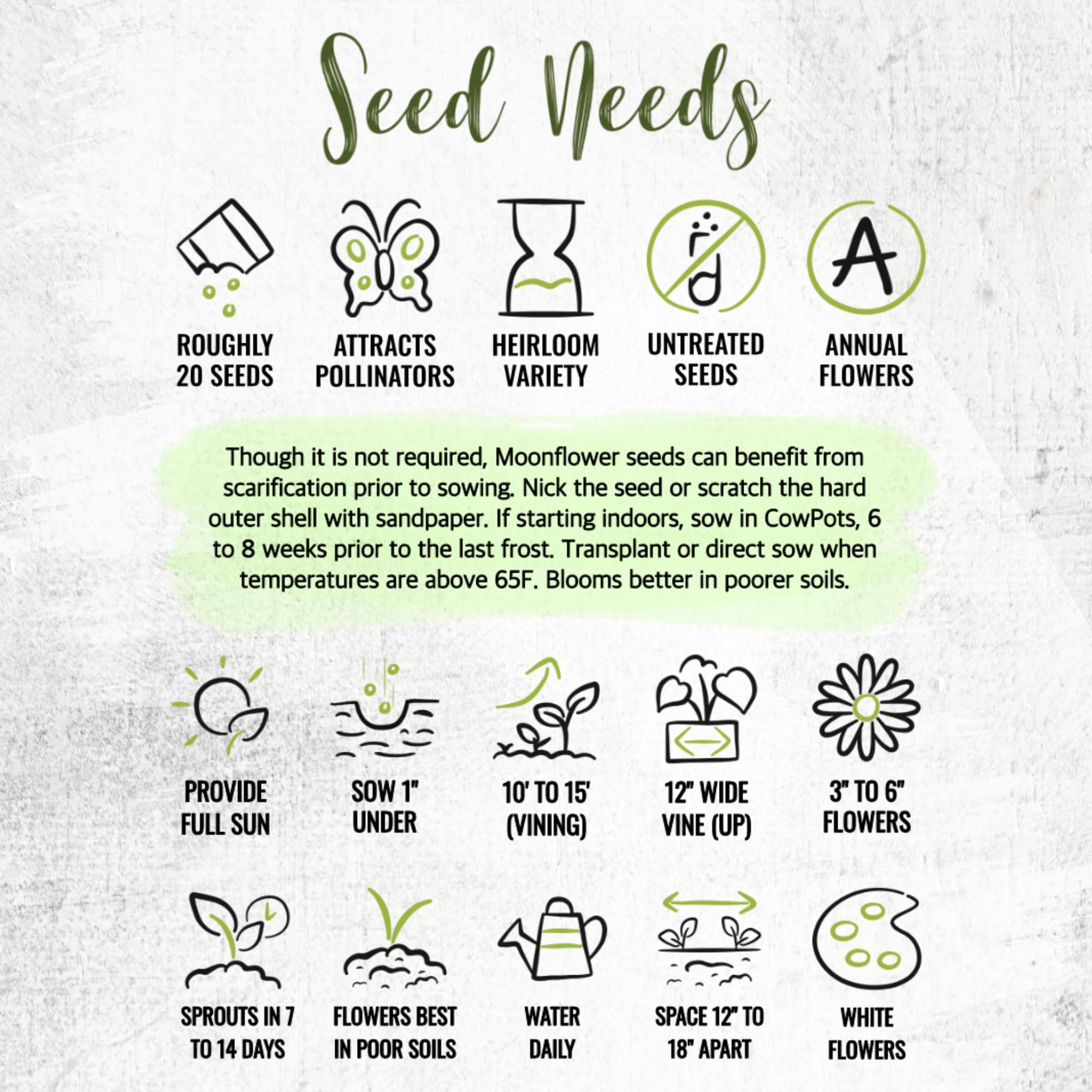 Seed Needs packaging keeps Moonflower seeds fresh for sowing.