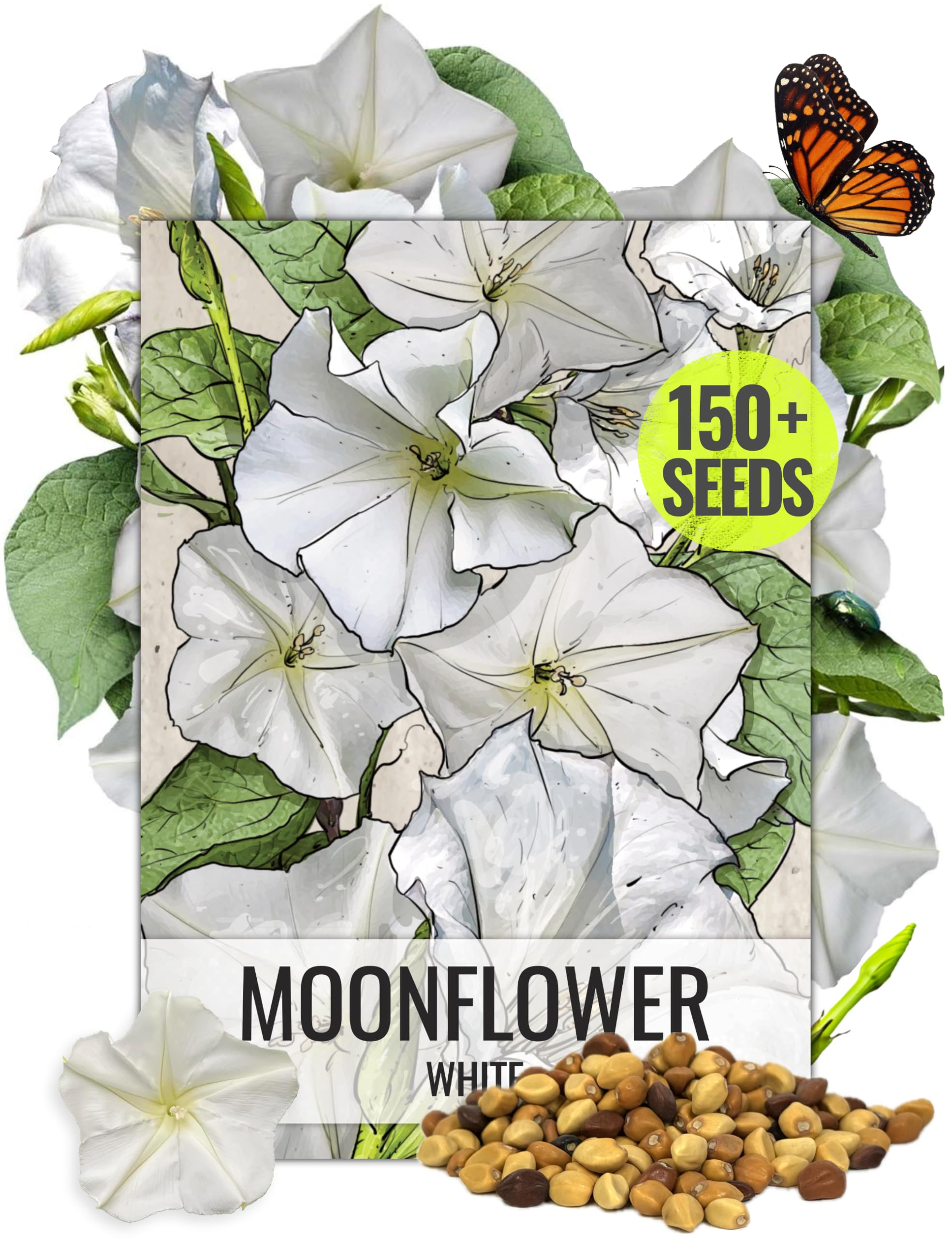 Seed Needs Moonflower seeds packaging with illustration, ideal for planning an evening-bloom garden.