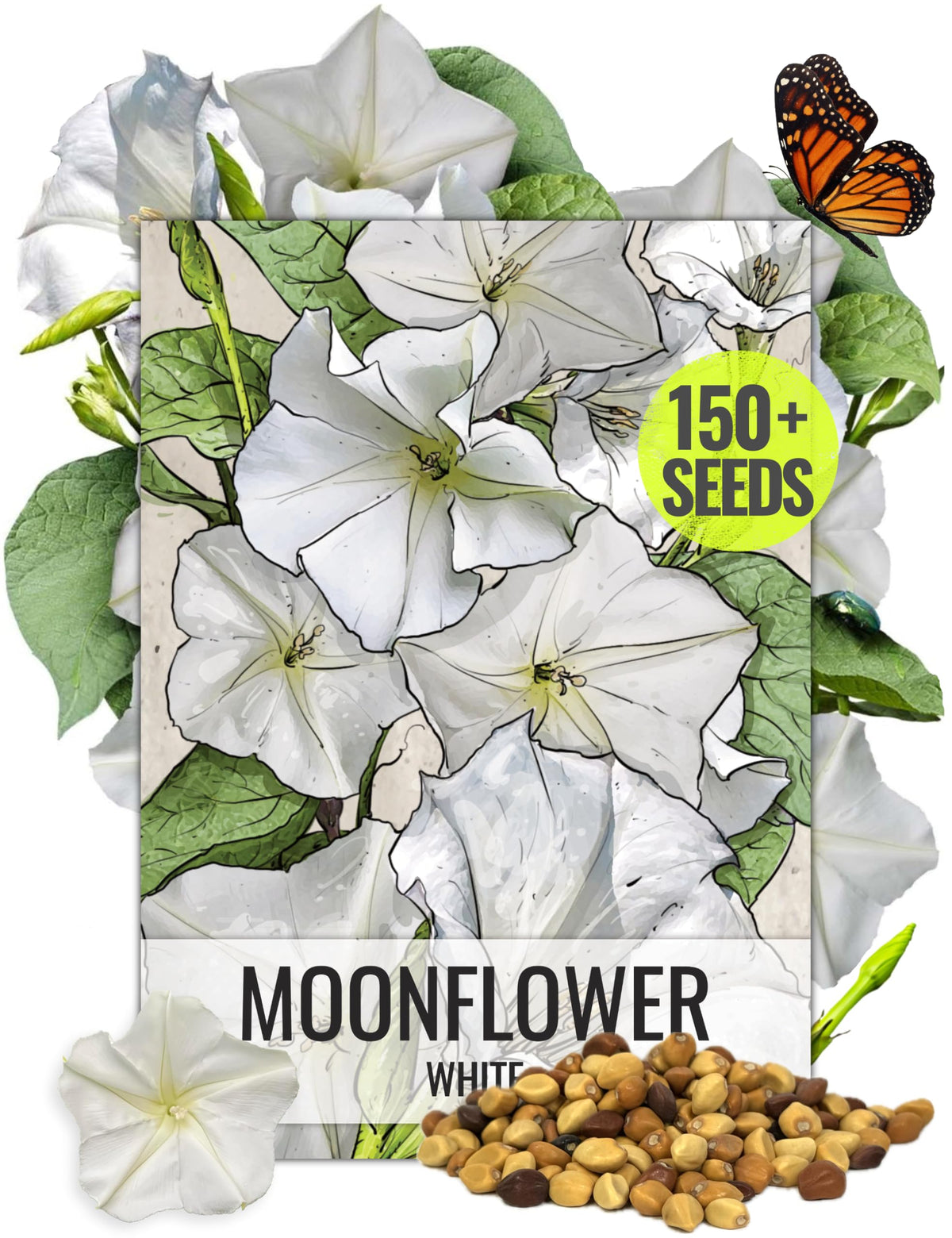 Seed Needs Moonflower seeds packaging with illustration, ideal for planning an evening-bloom garden.