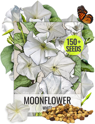 Seed Needs Moonflower seeds packaging with illustration, ideal for planning an evening-bloom garden.