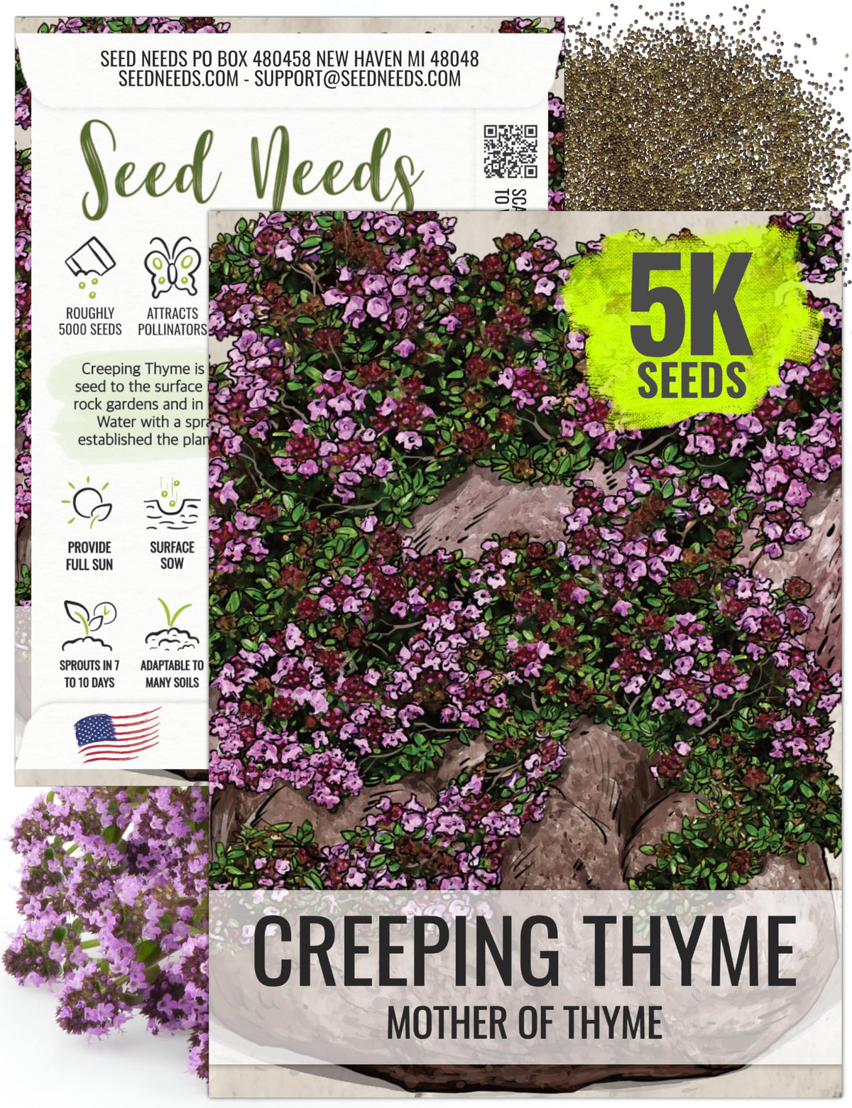 Seed Needs Mother of Thyme seeds packet front, ready for quick sowing planning.