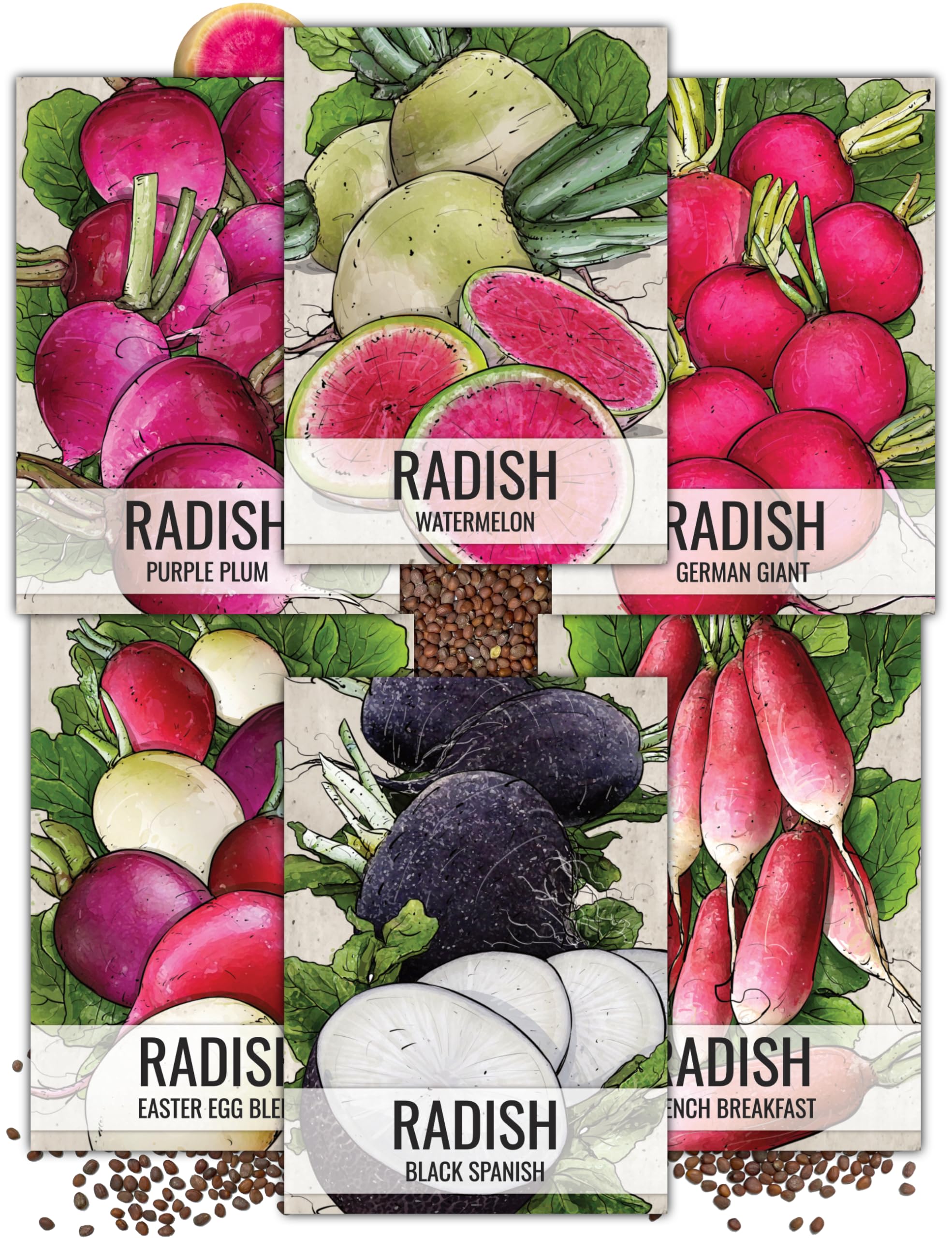 Seed Needs multicolor radish collection pack front, colorful packets ready for quick sowing.