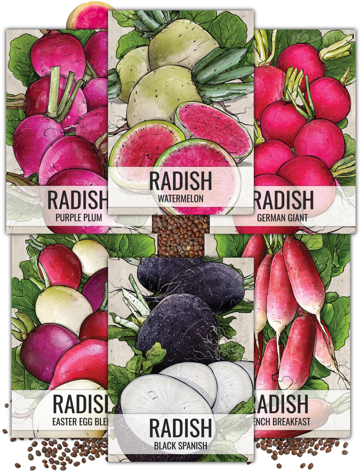 Seed Needs multicolor radish collection pack front, colorful packets ready for quick sowing.