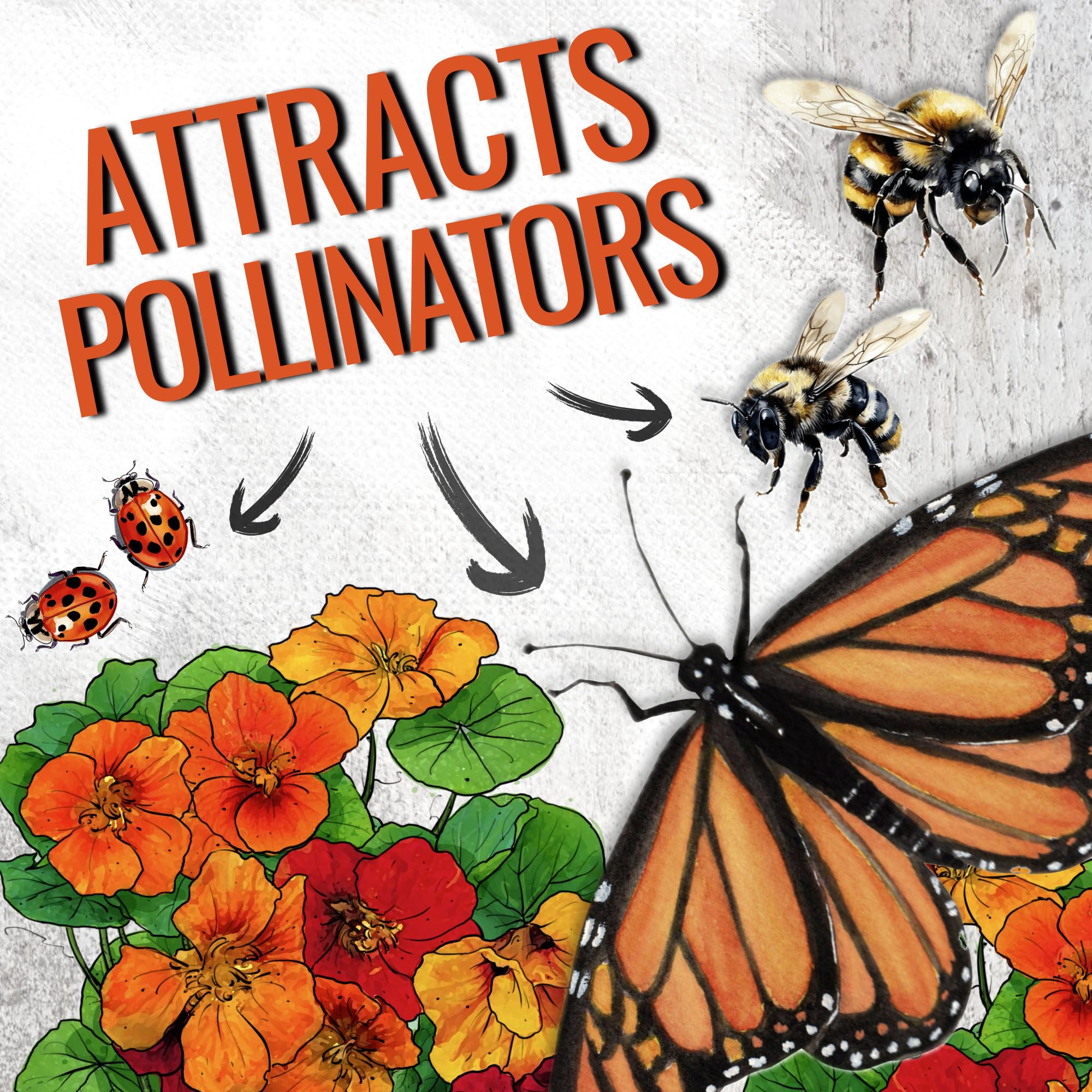Seed Needs seed packets feature art and sowing guidance for easy planting.