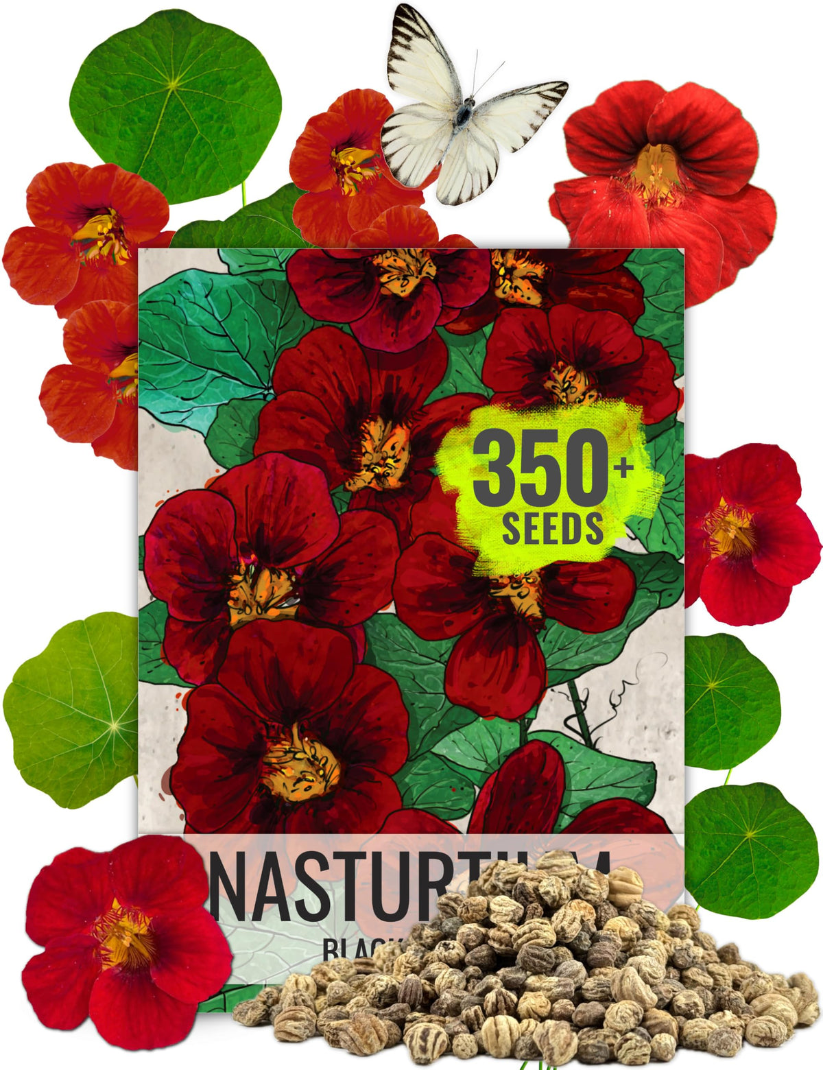 Seed Needs Nasturtium Black Velvet blooms show velvety deep red petals for dramatic garden color.