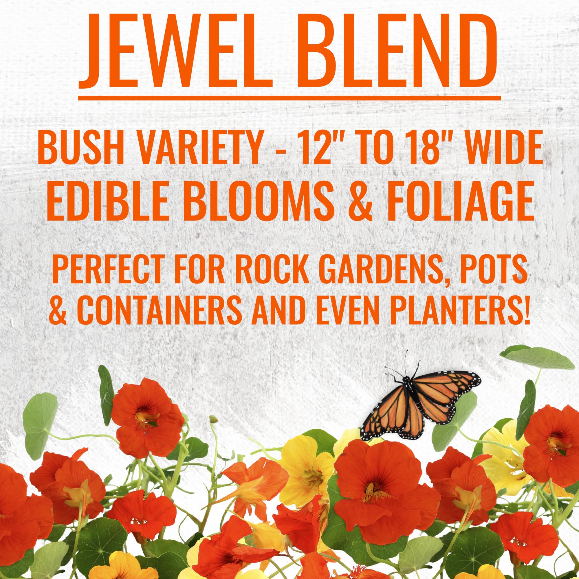Seed Needs nasturtium in container garden displays cascading color and texture