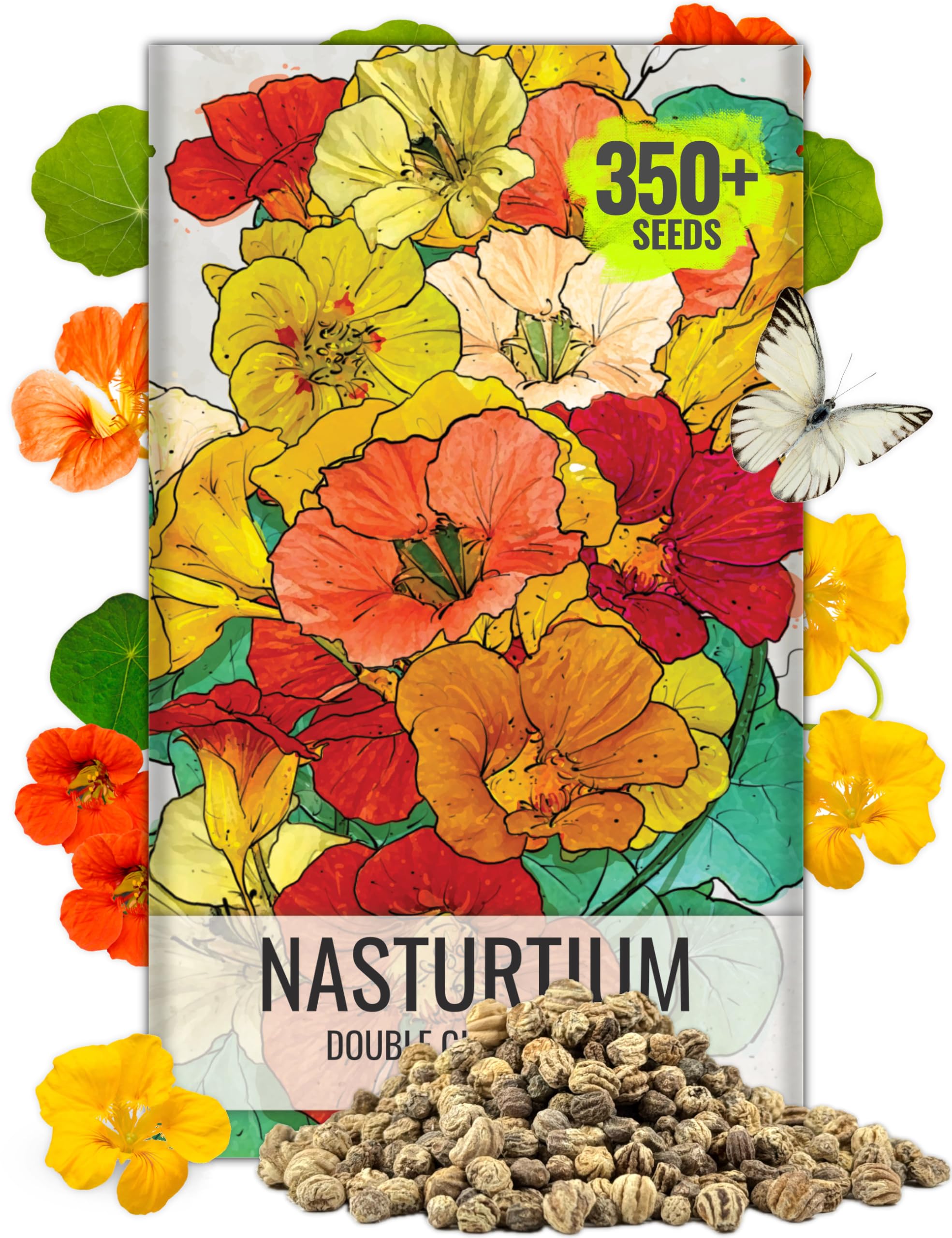 Seed Needs Nasturtium Double Gleam bloom close-up; vibrant colors for edible garnish.