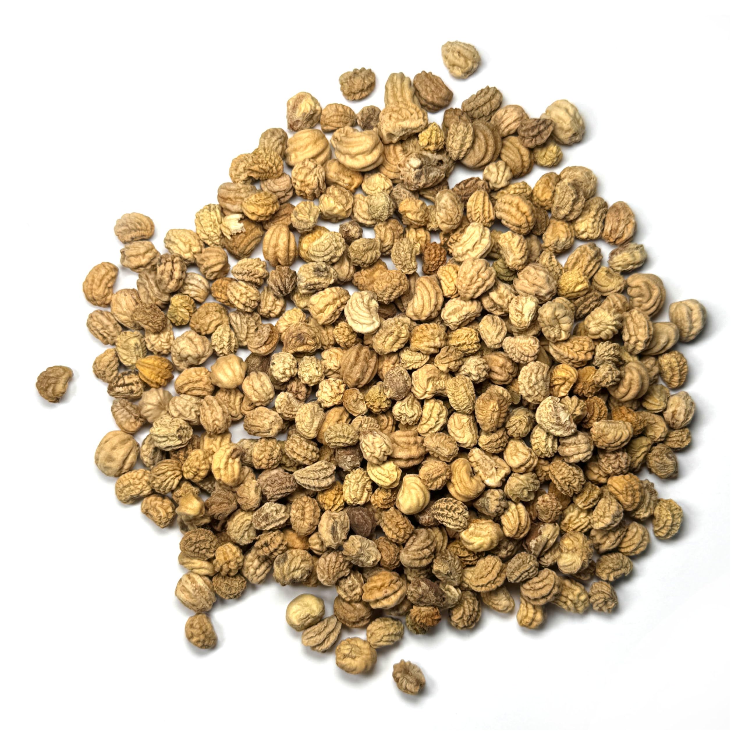 Seed Needs Nasturtium Double Gleam leaves and flowers; harvest-ready for fresh garnishes.