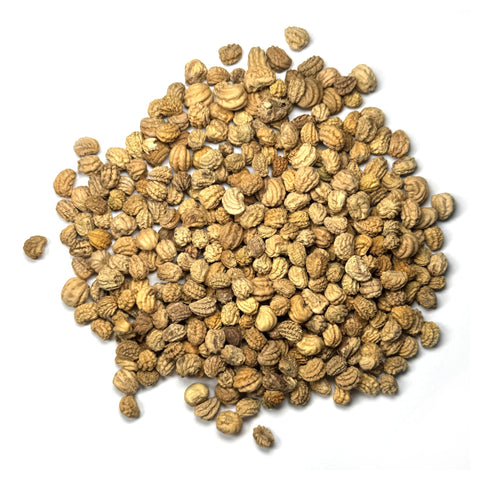 Seed Needs Nasturtium Double Gleam leaves and flowers; harvest-ready for fresh garnishes.