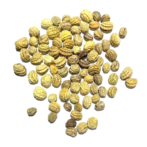 Seed Needs nasturtium double gleam pollinator-friendly blooms attracting butterflies and bees in summer.