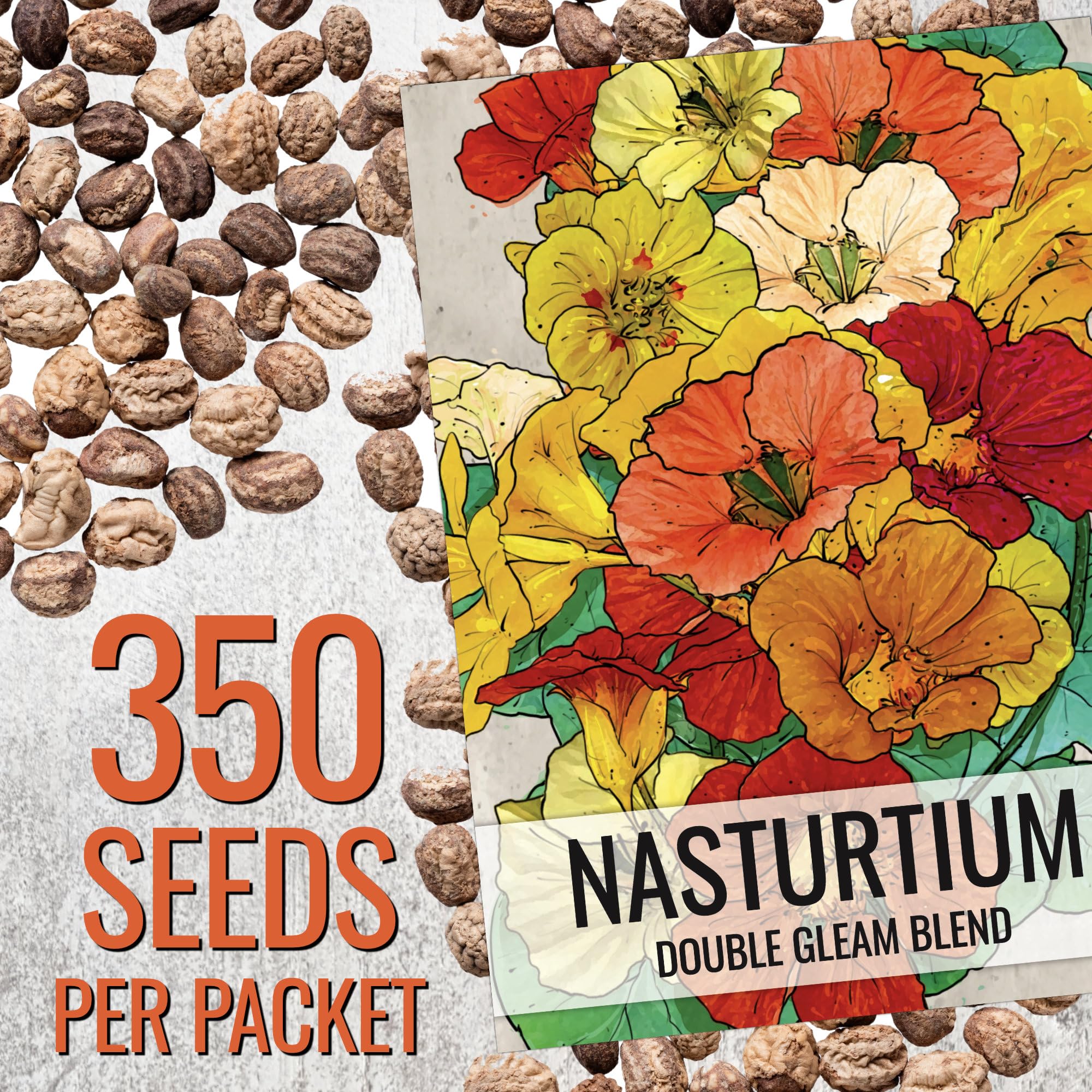 Seed Needs Nasturtium Double Gleam vine full length; dramatic trailing blooms for containers.