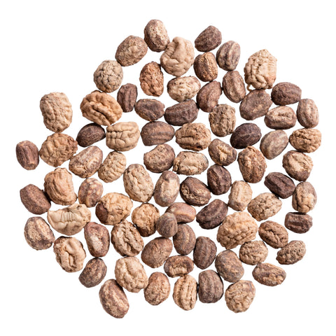 Seed Needs tear-resistant packaging keeps seeds fresh for next season.
