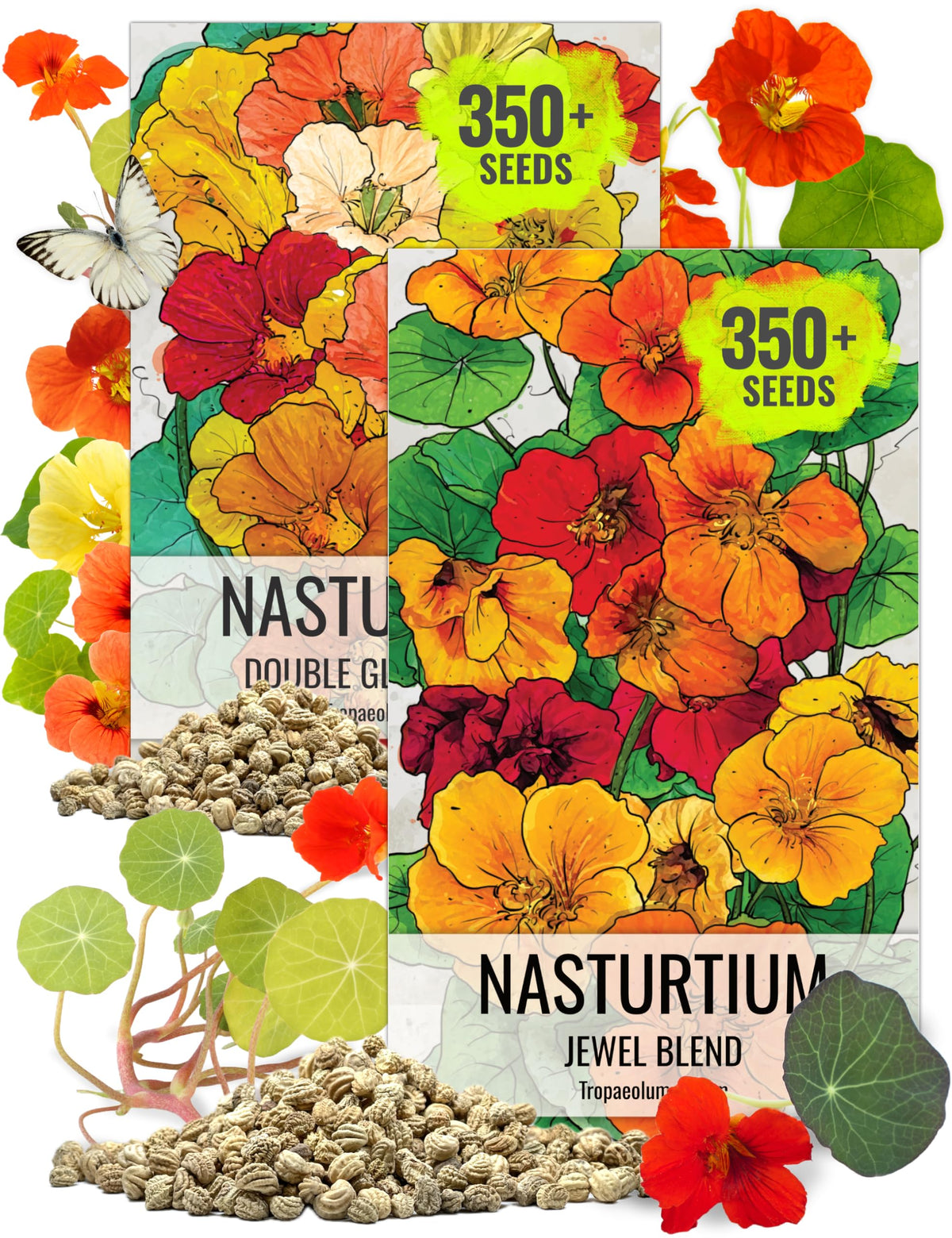 Seed Needs Jewel Blend nasturtium blooms brightening borders and inviting pollinators