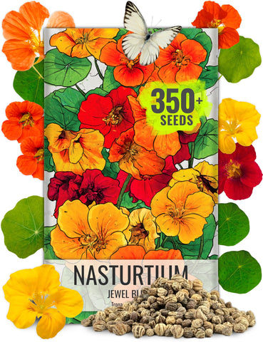Seed Needs Nasturtium Jewel Mix flowering colorful blooms ideal for salads