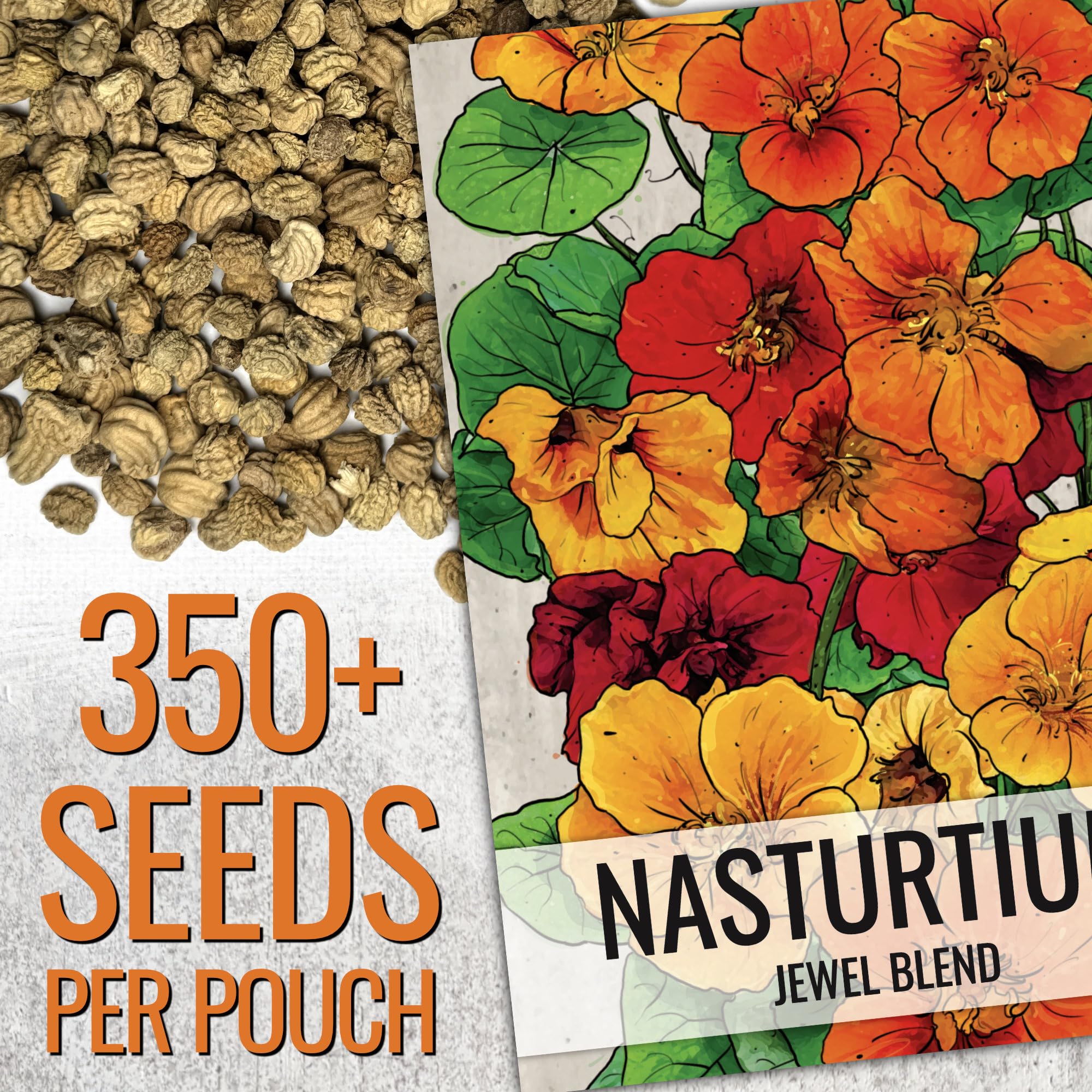 Seed Needs Nasturtium Jewel Mix seed packet with sowing guide