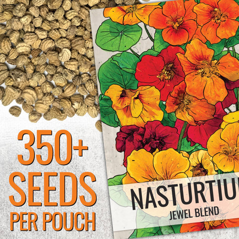 Seed Needs Nasturtium Jewel Mix seed packet with sowing guide
