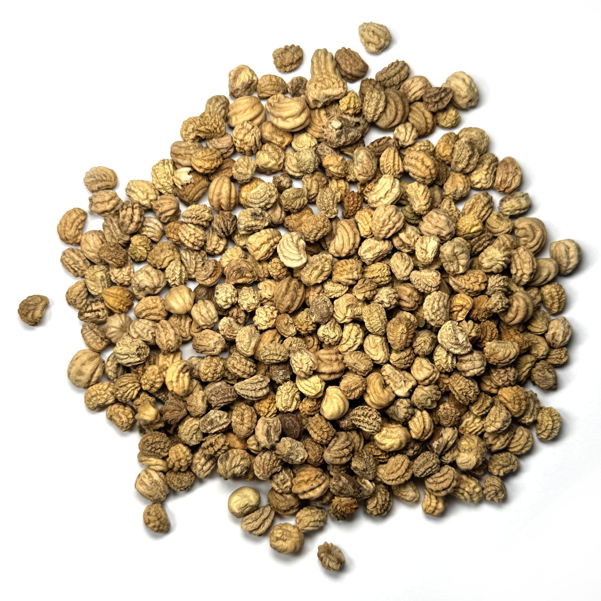 Seed Needs Packaging keeps seeds fresh with tear and moisture resistance.