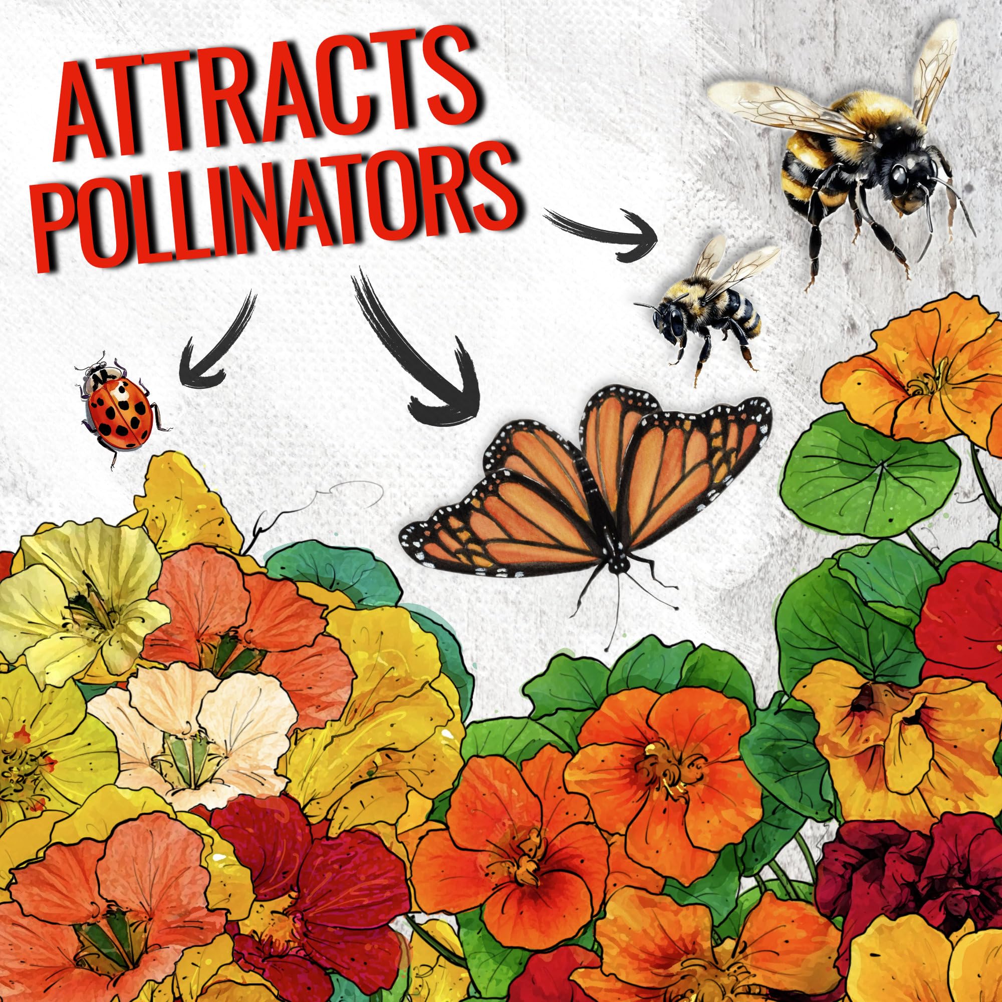 Seed Needs nasturtium plants attract bees for a lively pollinator garden