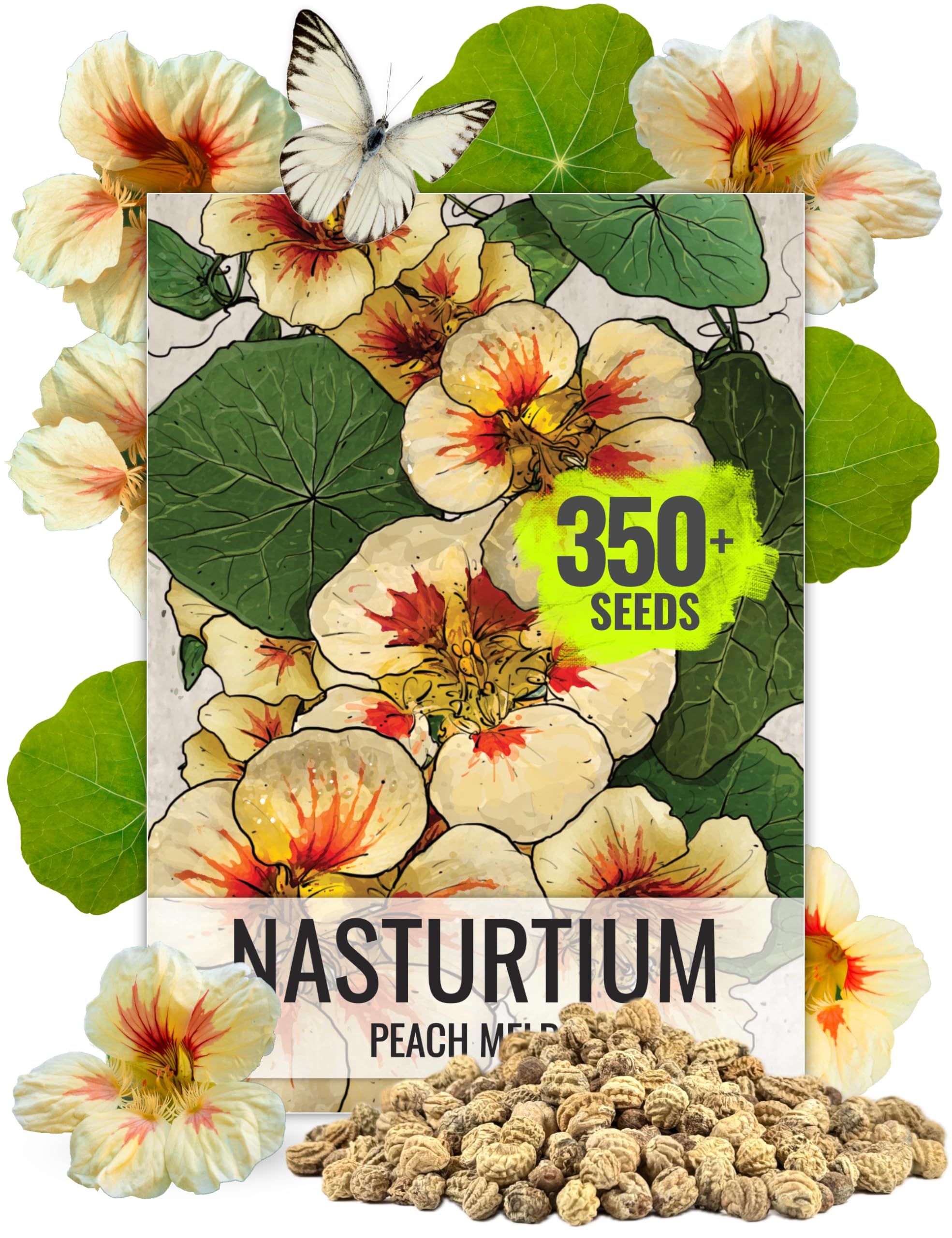 Seed Needs Peach Melba nasturtium seeds for edible blooms and garden color.