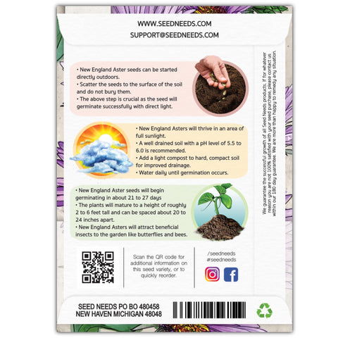 Seed Needs New England Aster seeds thrive in full sun, brightening meadows and gardens.
