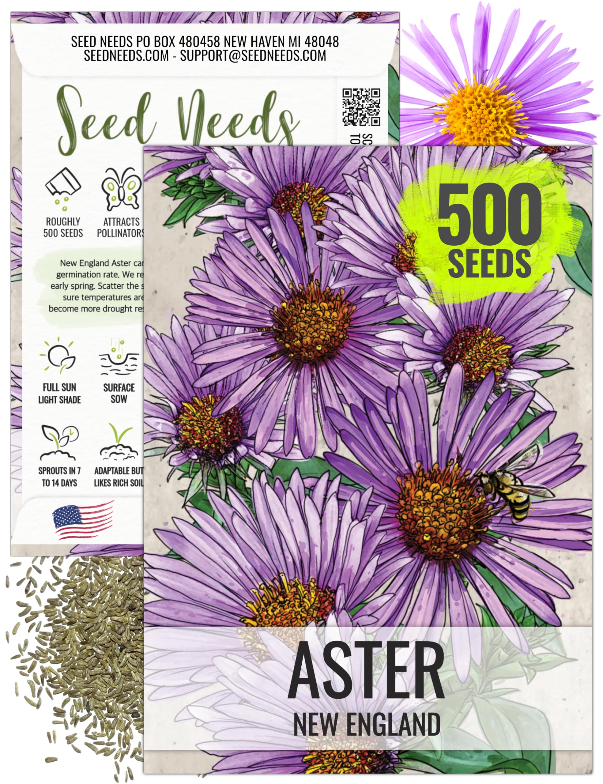 Seed Needs New England Aster seeds produce purple-pink daisies that attract pollinators.