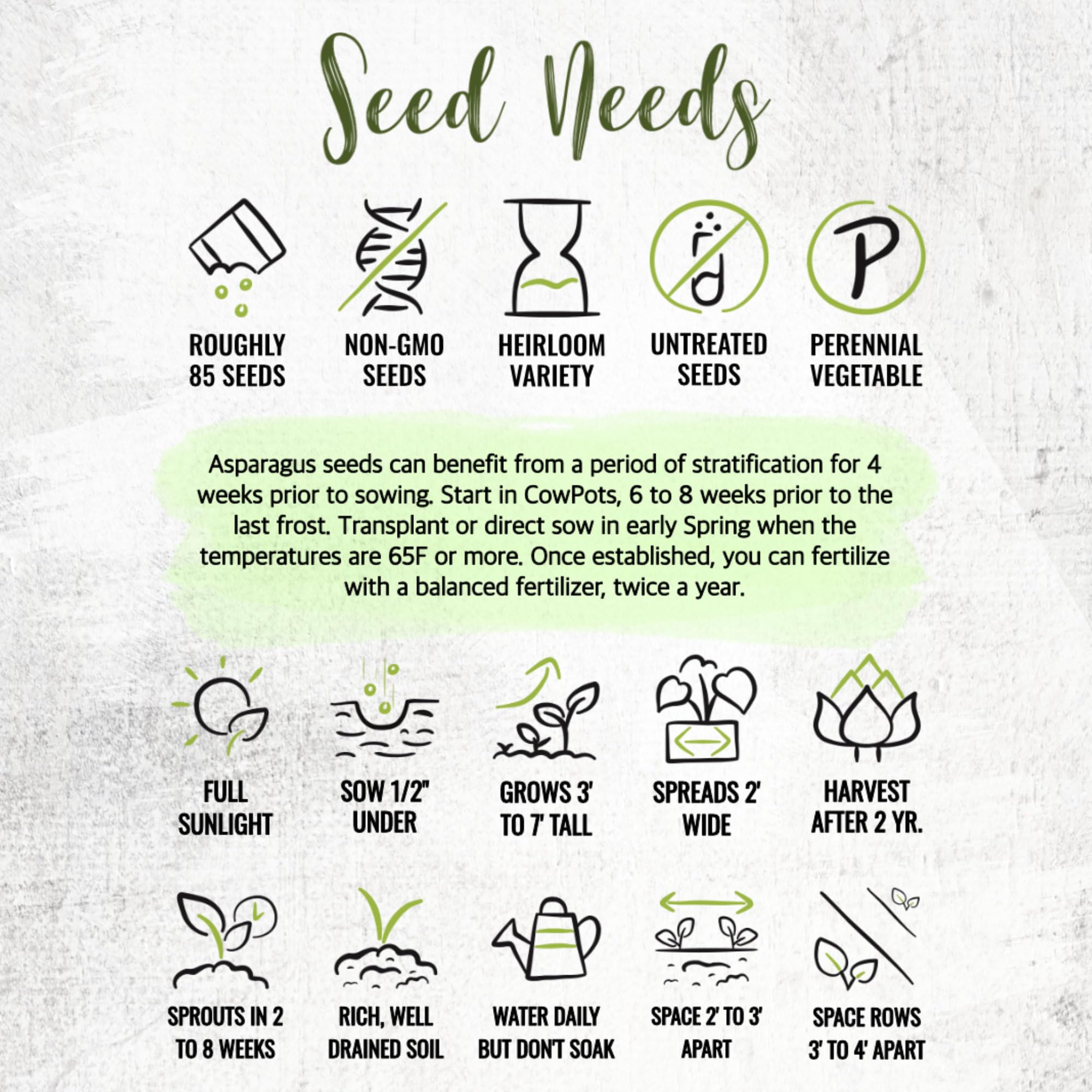Seed Needs non-GMO open-pollinated Mary Washington heirloom seeds guarantee heritage quality.