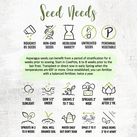 Seed Needs non-GMO open-pollinated Mary Washington heirloom seeds guarantee heritage quality.