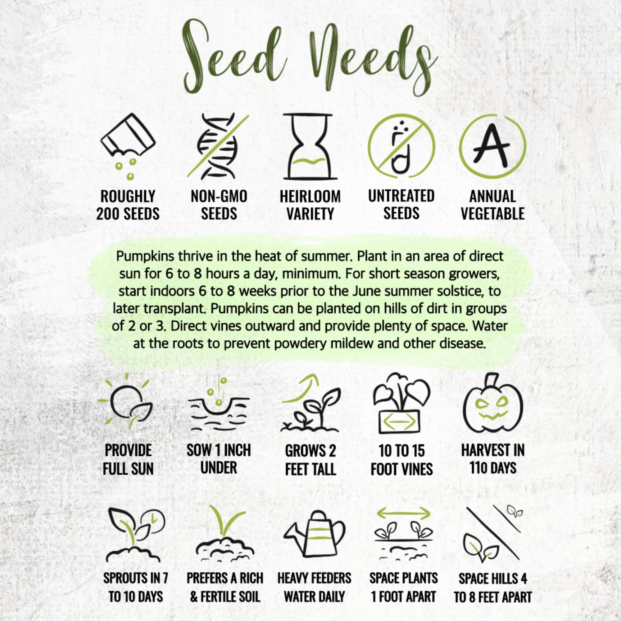 Seed Needs non GMO promise—mostly open-pollinated heirs for trusted gardening