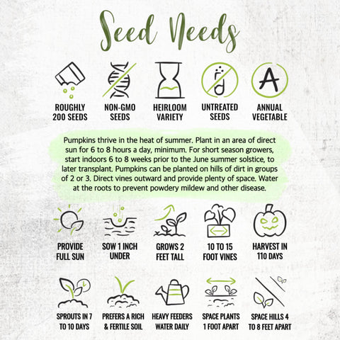 Seed Needs non GMO promise—mostly open-pollinated heirs for trusted gardening