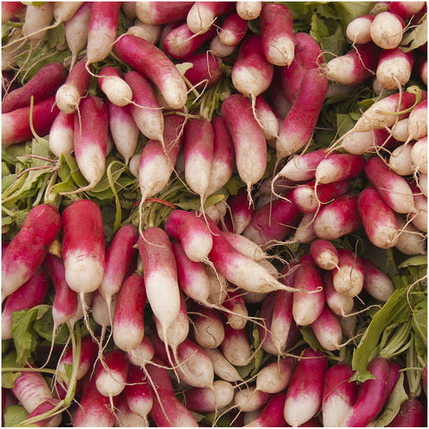 Seed Needs non-GMO untreated radish seeds for safe home gardening.