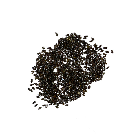 Seed Needs non-GMO untreated seeds ensure pure planting material