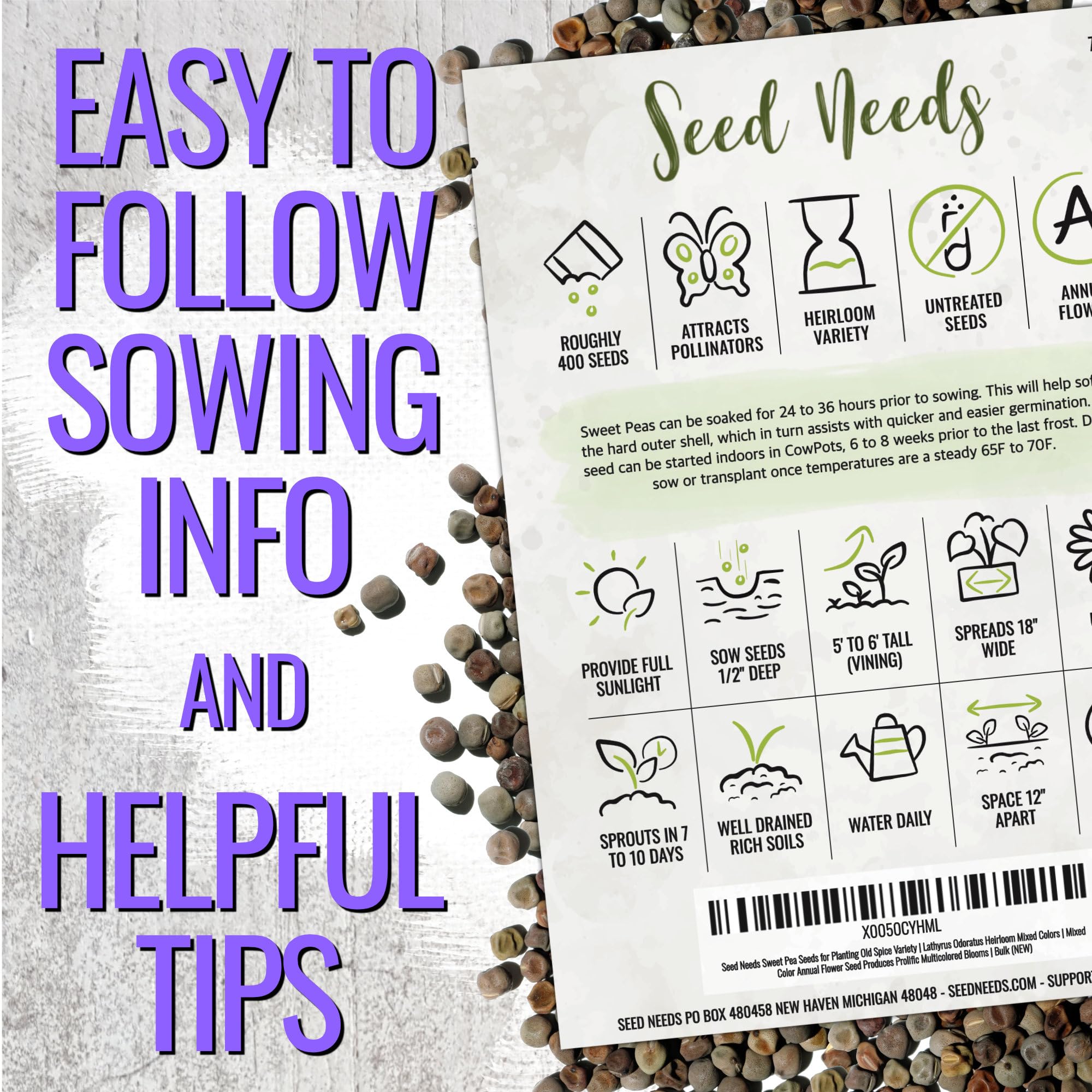 Seed Needs Old Spice Sweet Pea cut flowers ready for bouquets