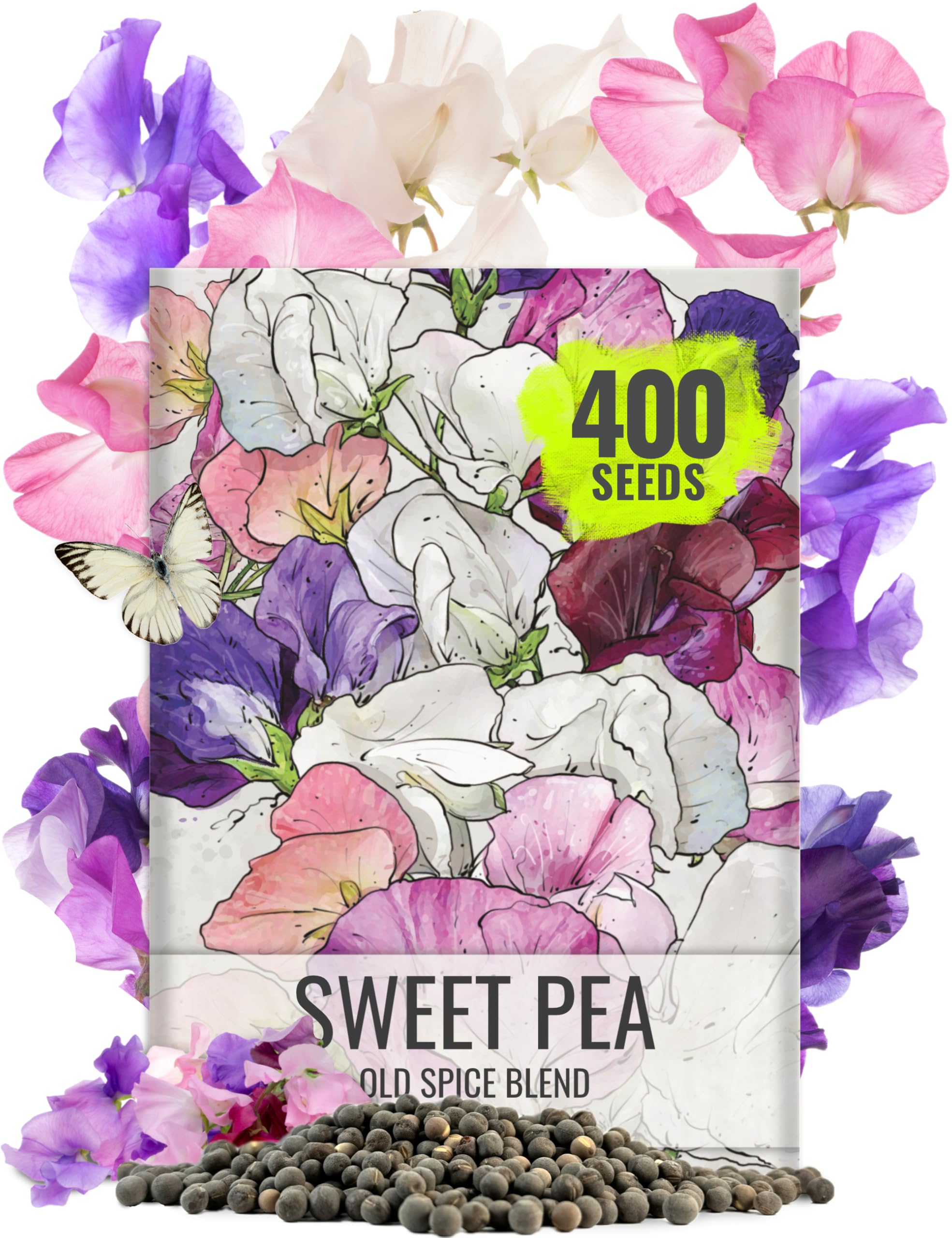 Seed Needs Old Spice Sweet Pea fragrant blooms close-up, garden fragrance detail