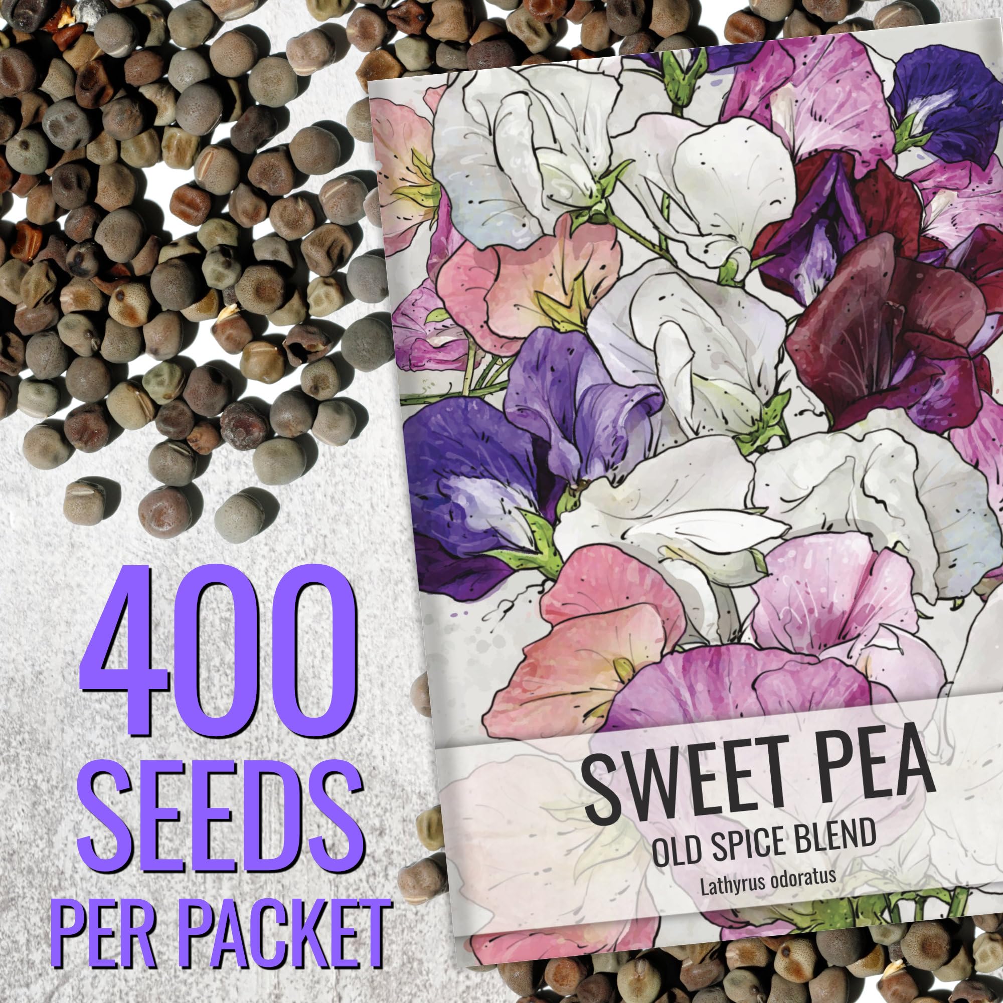 Seed Needs Old Spice Sweet Pea mixed colors blooms array in garden