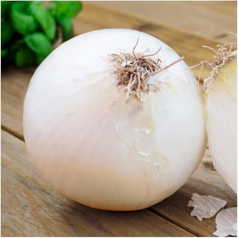 Seed Needs onion seeds pack back with sowing tips for best results.