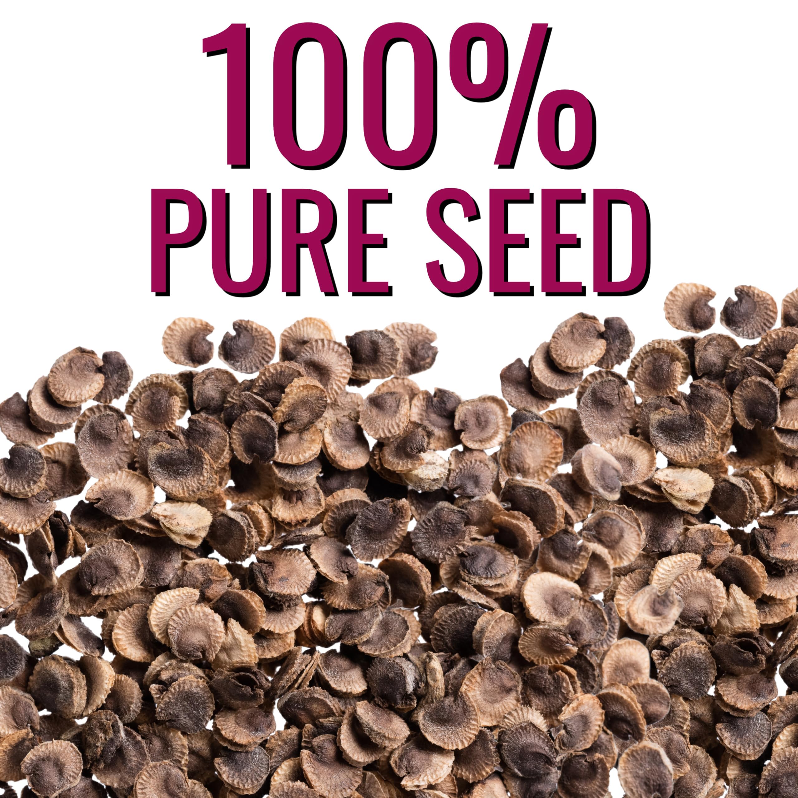 Seed Needs open-pollinated heirloom seeds with non-GMO traits for garden longevity.