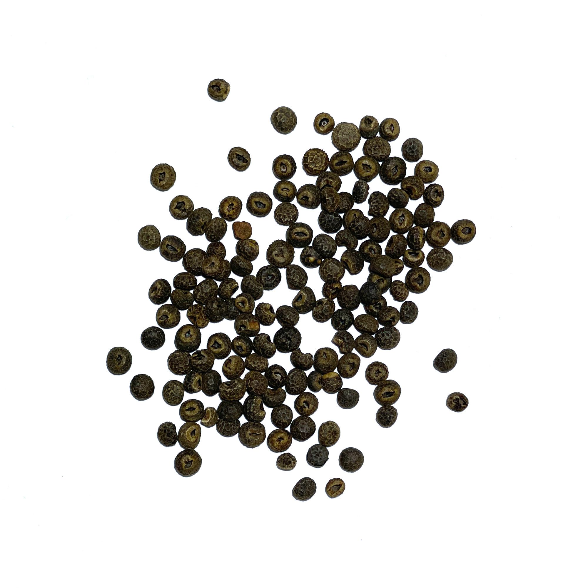 Seed Needs open-pollinated heirloom seeds ideal for sharing.
