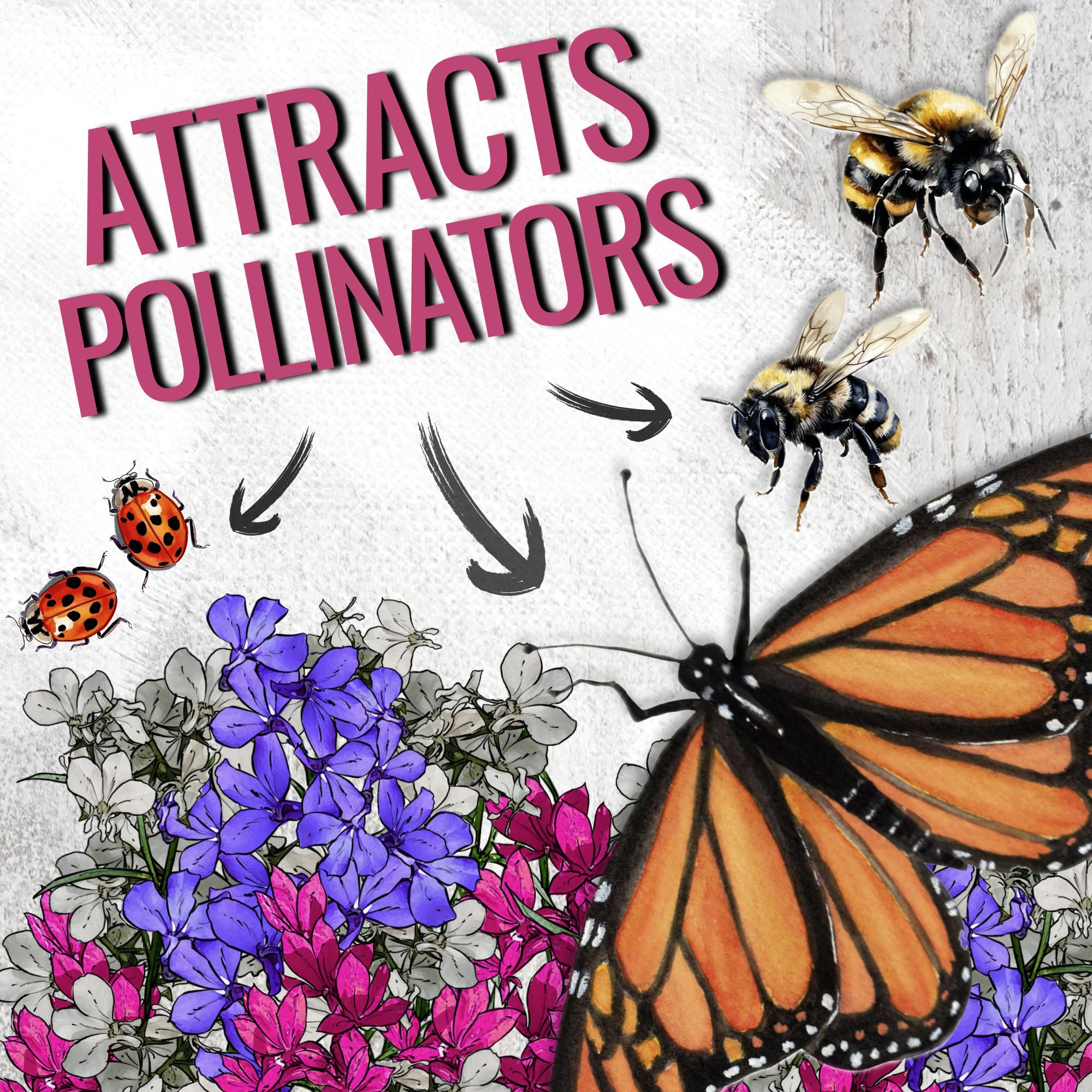 Seed Needs open-pollinated heirloom seeds emphasize traditional garden heritage.