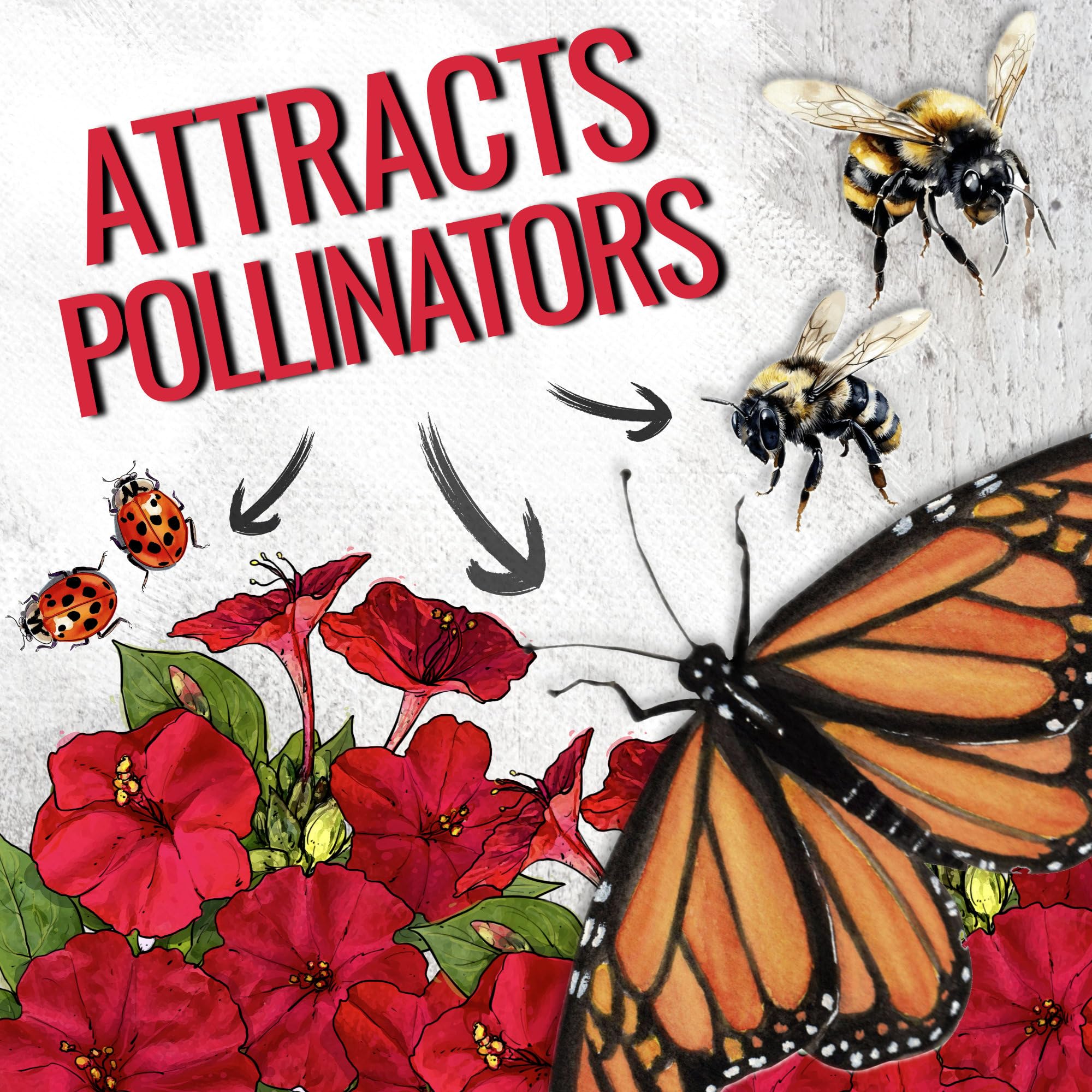 Seed Needs open-pollinated heirloom seeds for garden diversity.