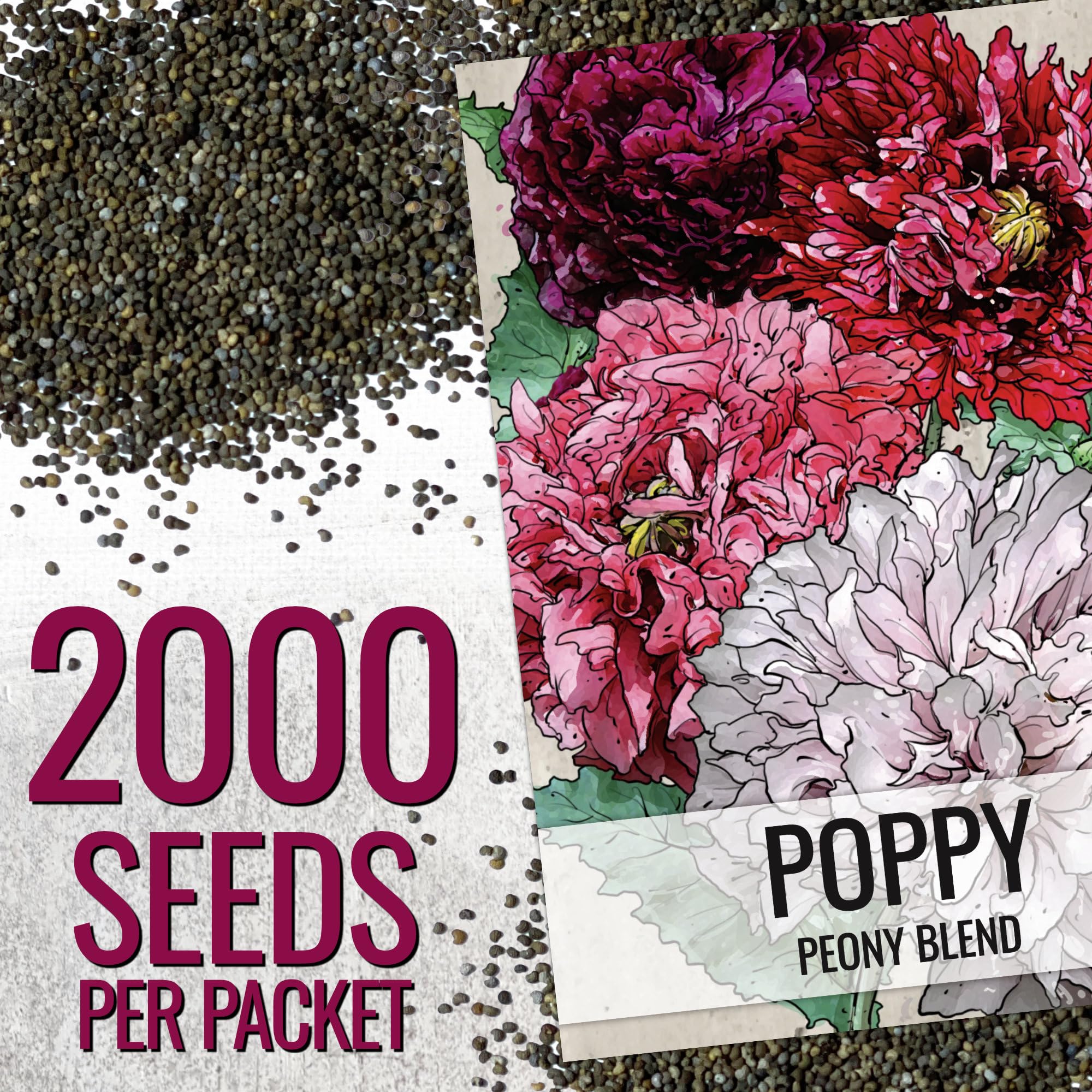 Seed Needs seed packets feature illustrated art and sowing guidance for planning.
